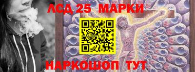 сатива Кингисепп