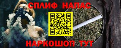сатива Кингисепп