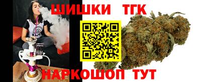 сатива Кингисепп