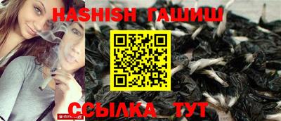 сатива Кингисепп