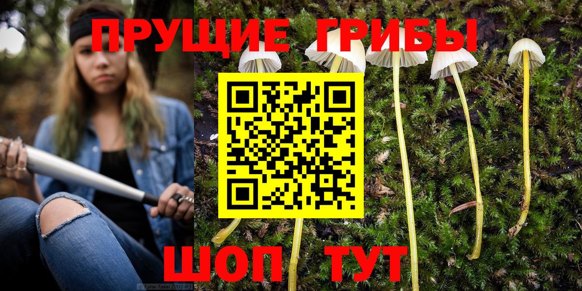 Псилоцибиновые грибы мицелий Кудымкар