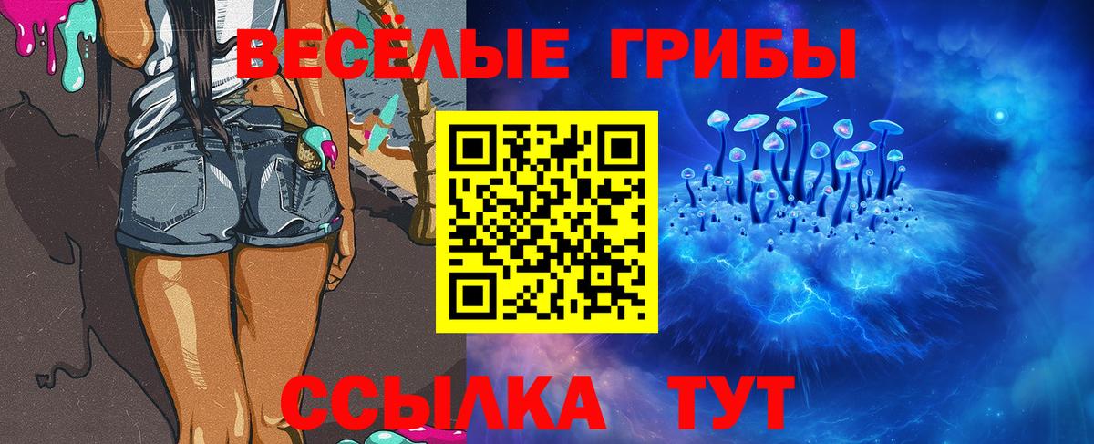 Псилоцибиновые грибы прущие грибы  Вход с VPN  Кудымкар  Псилоцибиновые грибы Cubensis 